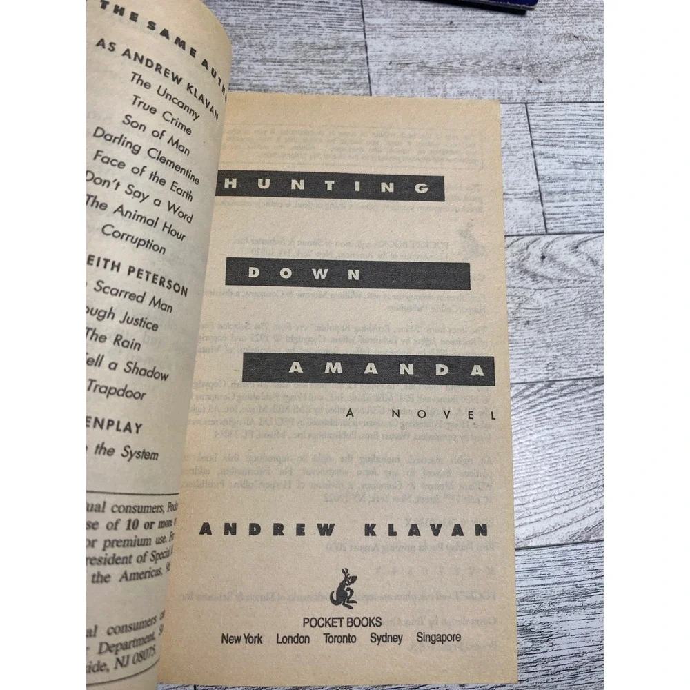 Hunting Down Amanda by Andrew Klavan 2000‎ Thriller Mystery Paperback Book